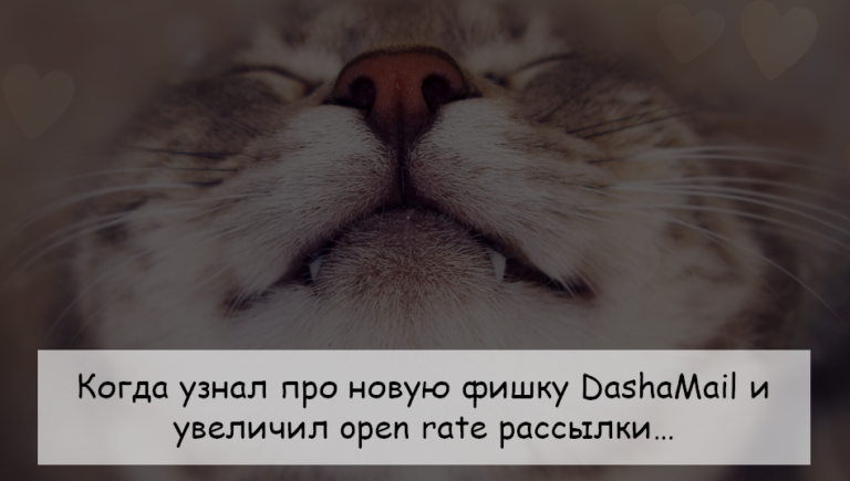 Увеличение конверсии рассылки с новой функцией DashaMail