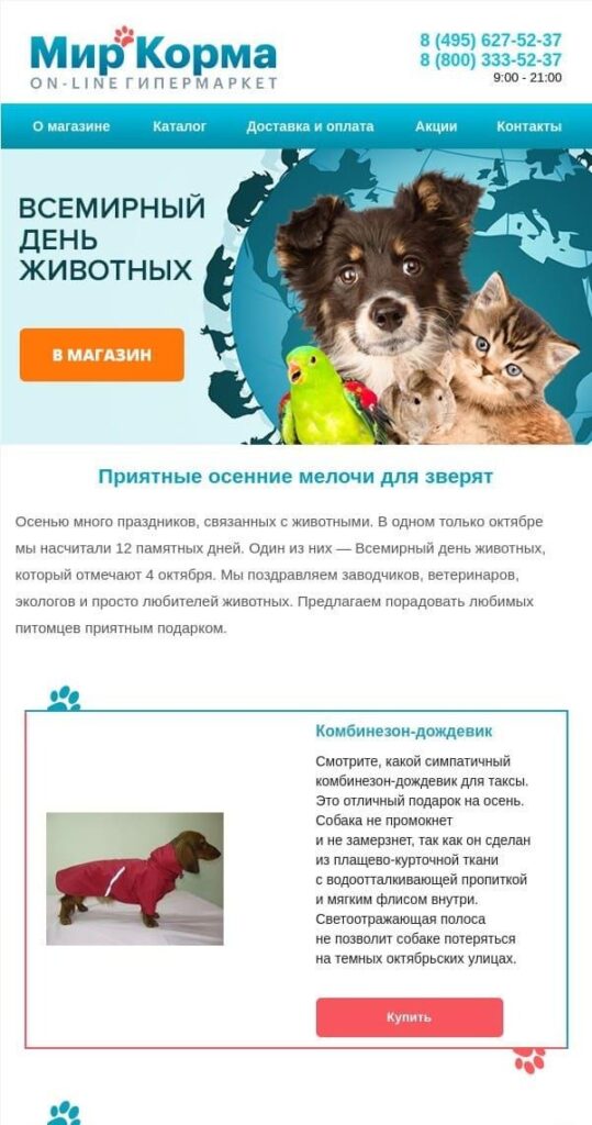 Рассылка к Всемирному дню животных